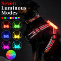 Nylon dog lead with multi-colour LED lights and a USB charging cable on a grey background