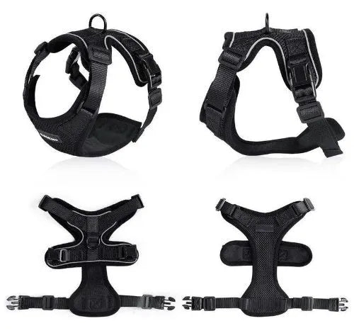 Escape proof reflective cat vest harness with car seat belt adapter for kittens