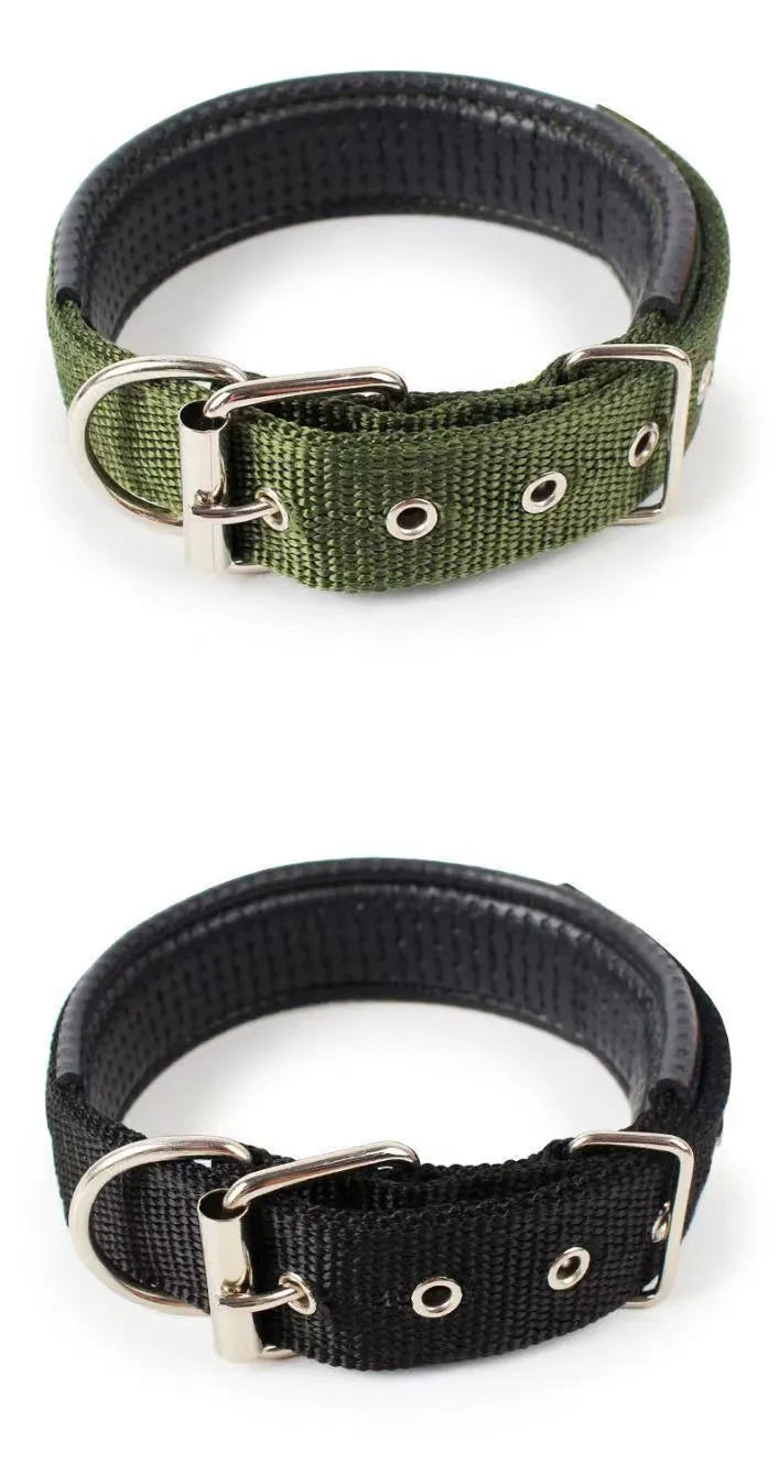 Nylon dog collar for small and medium dogs in blue with adjustable length, size S to XXL