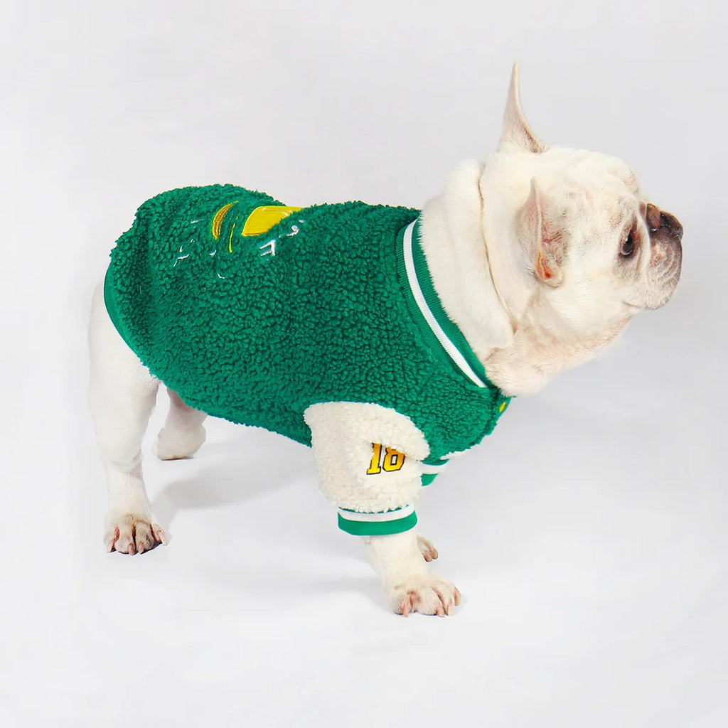Green fleece-lined cotton dog winter clothing shown in larger size for cold weather walks