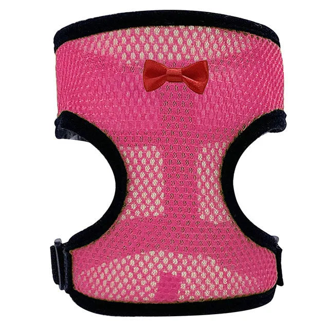 Colourful chicken vest harness and collar set for ducks and hens with a traction rope.
