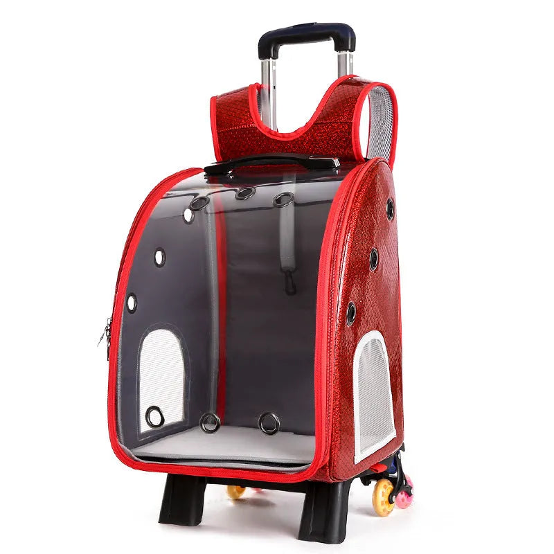 Transparent pet trolley carrier bag with shoulder strap in blue, pink, red, and yellow colour options.