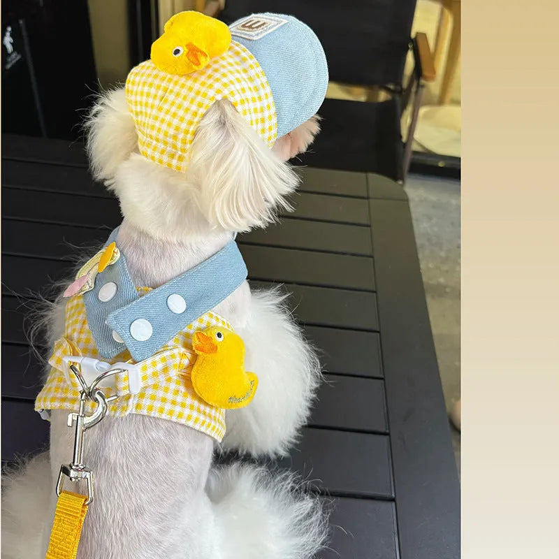 Colourful adjustable dog harness and wire rope leash set with a cute hat for spring summer pet outings.