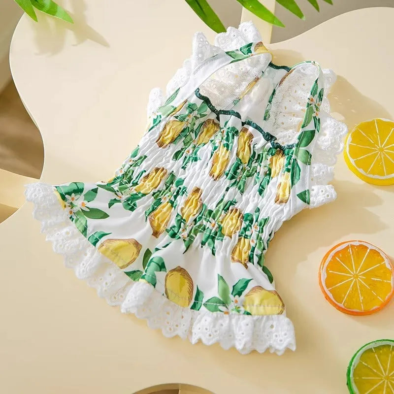 Rock yellow lemon polyester strap skirt dog dress for small to medium sized pets