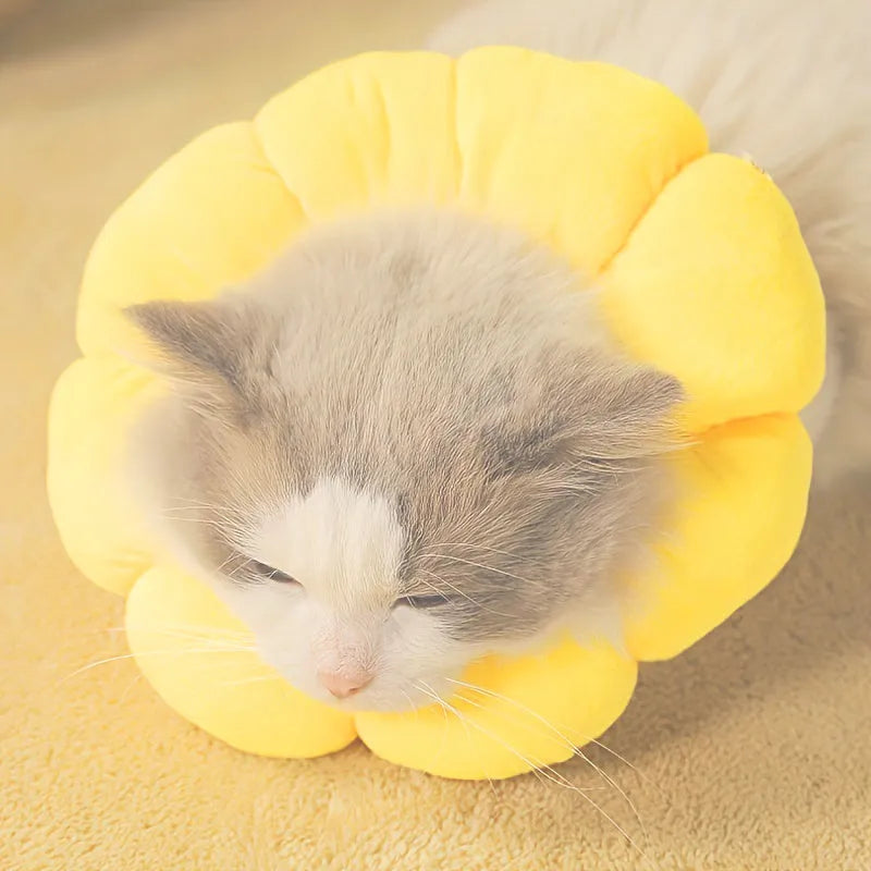Cute sunflower-shaped adjustable recovery collar for small pets, soft cotton material