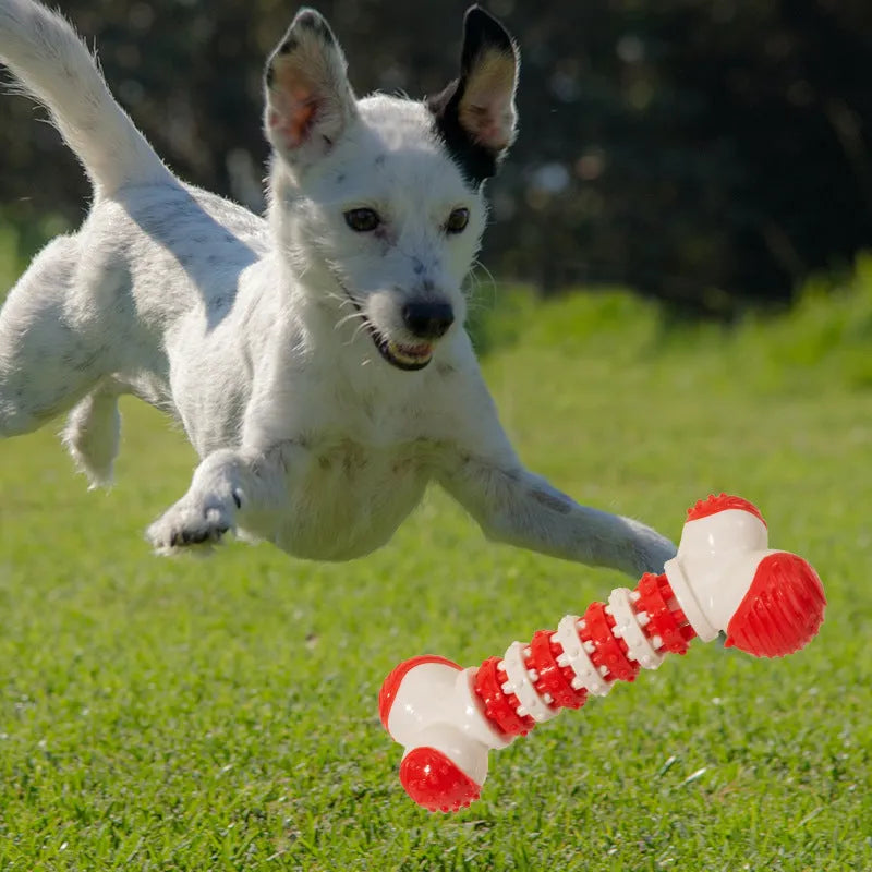 Blue bone-shaped interactive dog toy for small breeds with chewable ends and a treat holder in the centre.