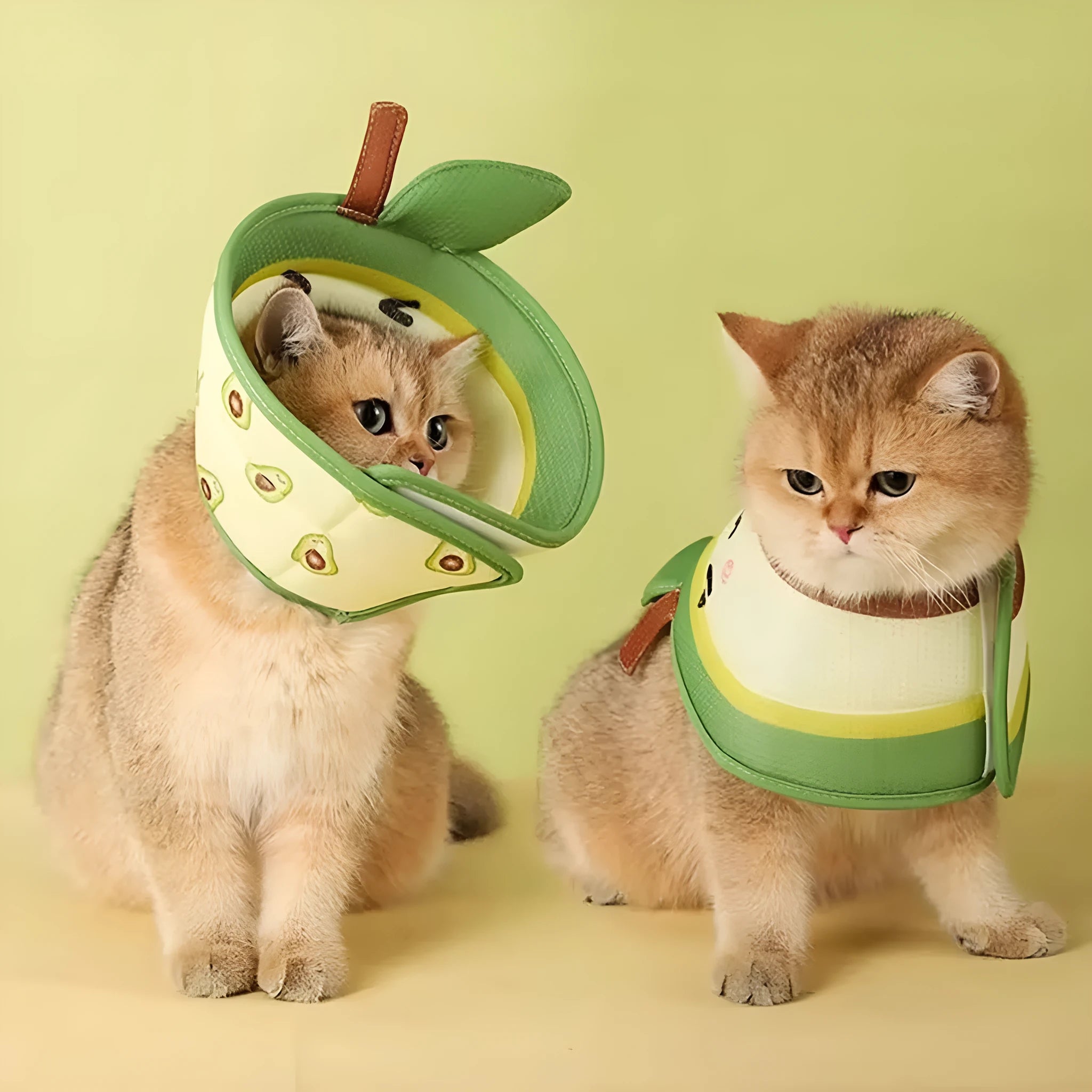 Soft white EPE foam adjustable cat cone collar for post-surgery recovery protection.
