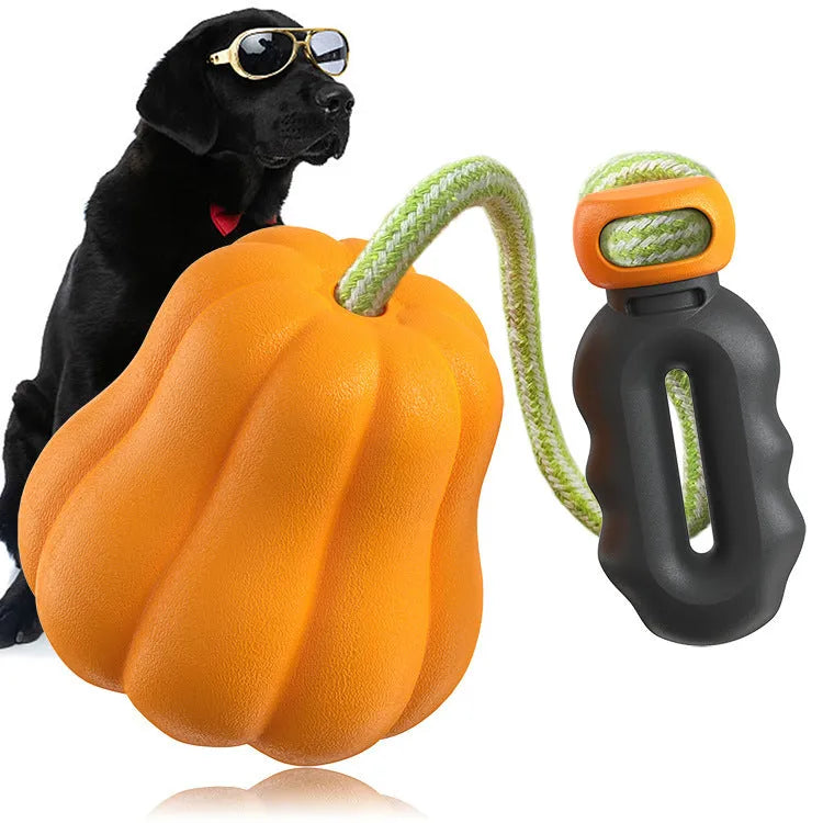 Bite Molar plastic dog toy in single pumpkin colour with rope attachment for outdoor fetch games