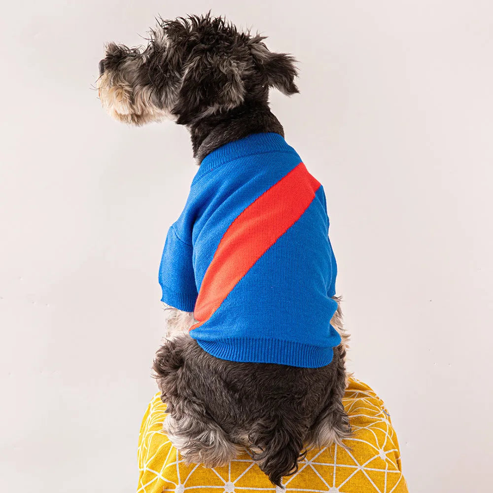 A small dog wearing a casual-style wool blend sweater in one of six available colours.