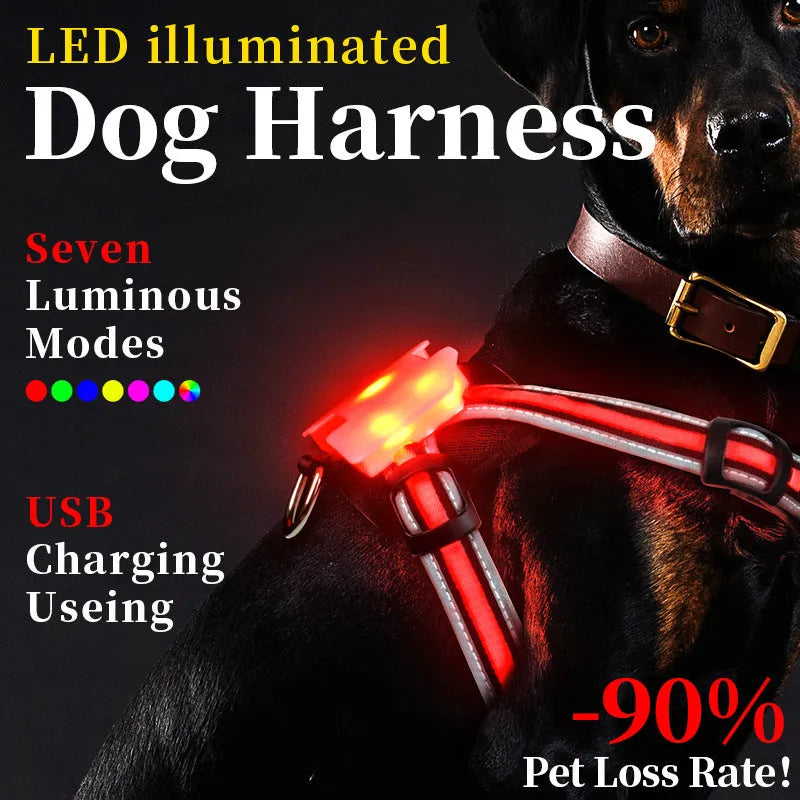 Nylon dog lead with multi-colour LED lights and a USB charging cable on a grey background