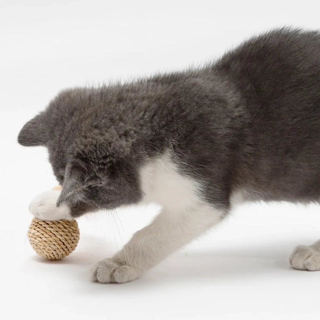 Two cat toys: a hollow rattan ball and a faux feather ball with a bell on a white background.