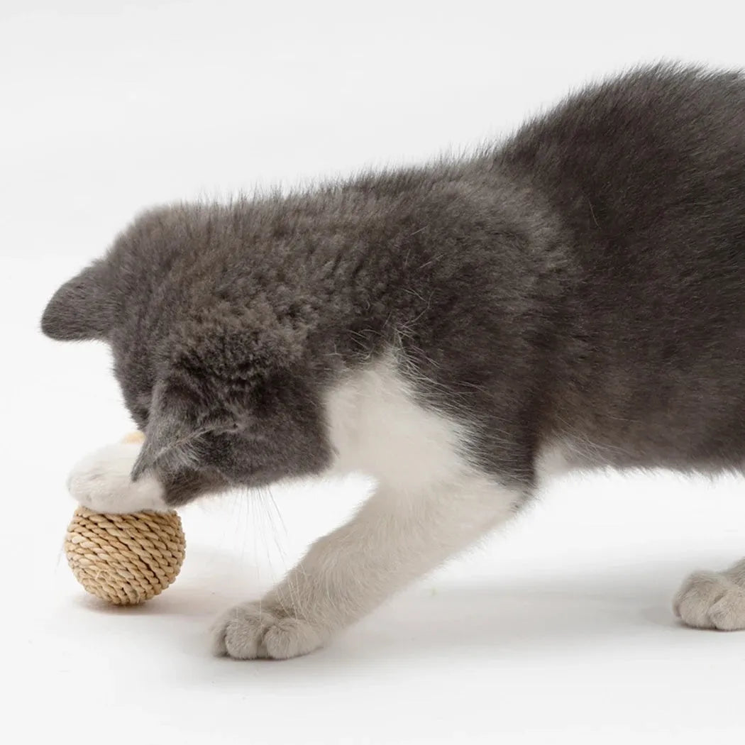 Two cat toys: a hollow rattan ball and a faux feather ball with a bell on a white background.
