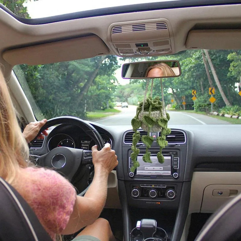 Green and white knitted wool car plant decoration hanging from a rope.