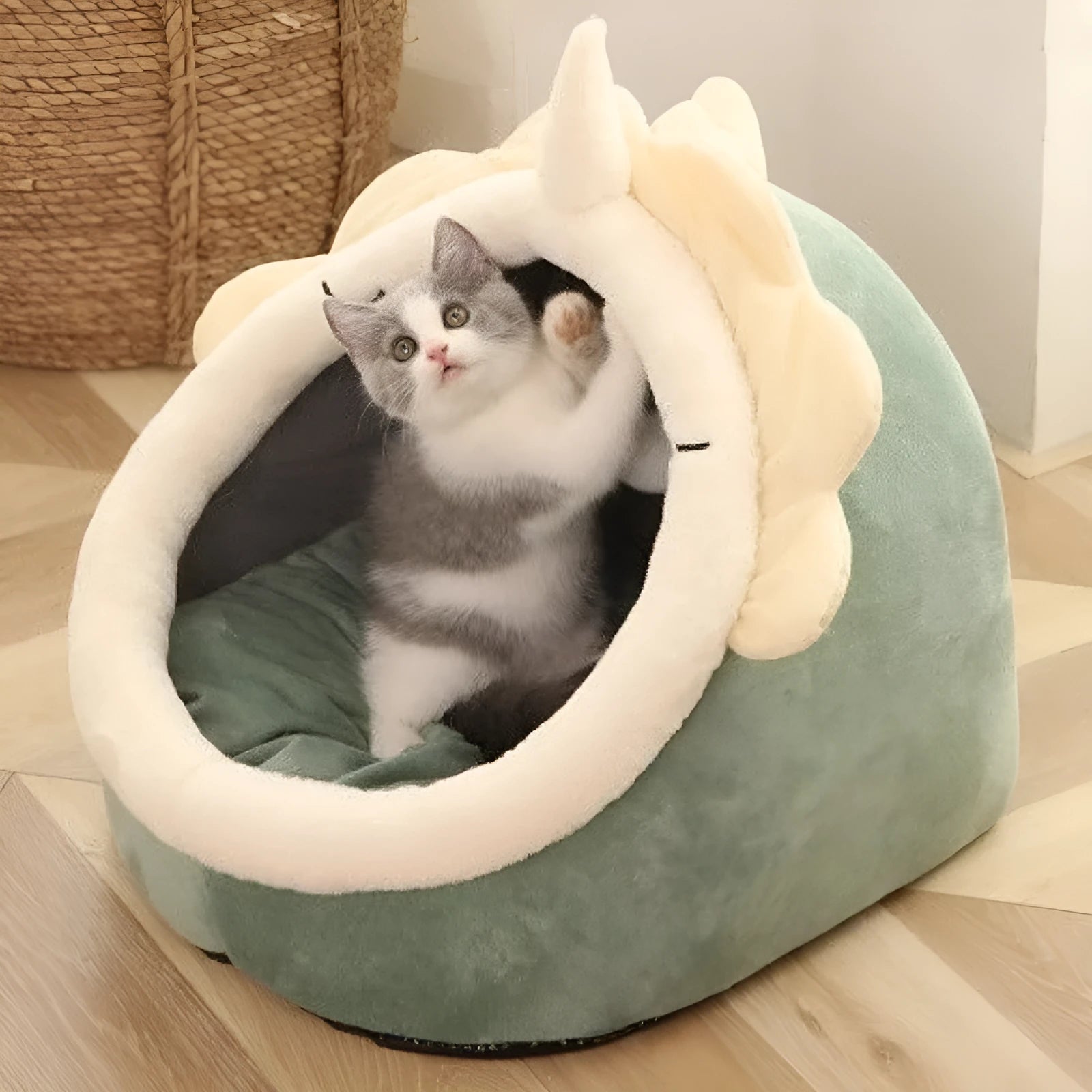 Semi-enclosed cat house with dinosaur pattern, removable washable mat, size L for large cats