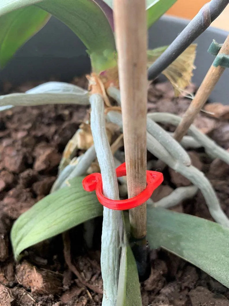 Plastic cat-shaped plant clip in red, yellow, green, or white colours for garden use