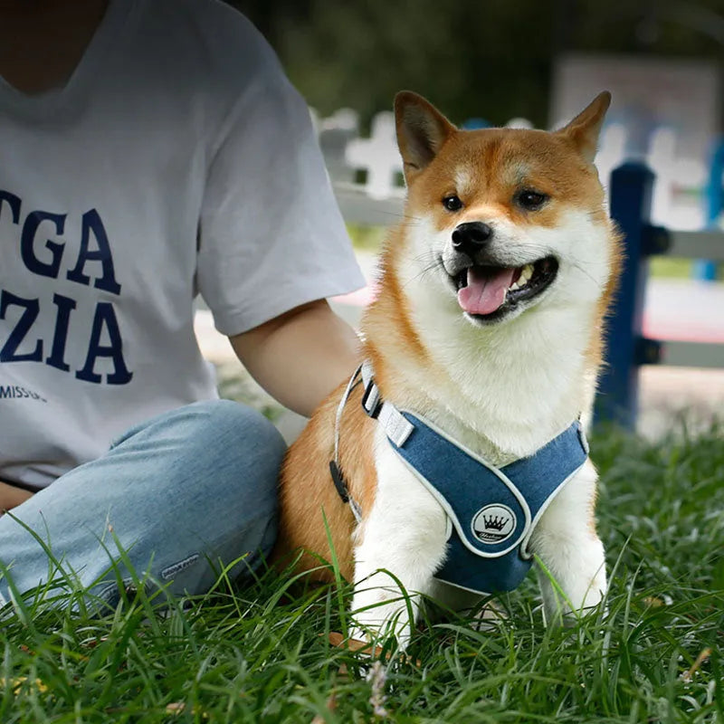 Adjustable dog and cat harness with breathable mesh panels and metal ring attachment