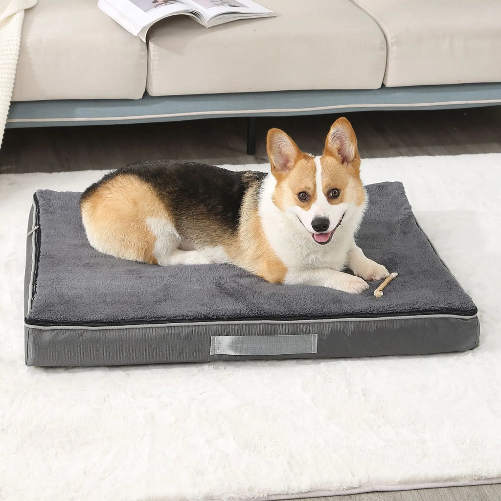 Brown removable cover memory foam dog mat showing size options