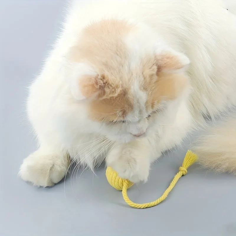 Cat toy ball with attached rope and bell in green, pink, purple or yellow colours showing 6cm and 3cm size comparison