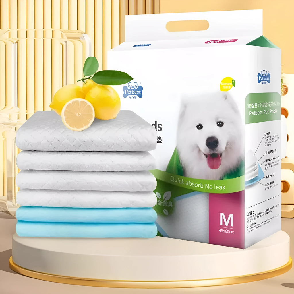 Thickened dog urine pads showing size variants with bamboo charcoal and adhesive options