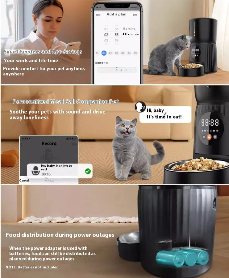 Black intelligent pet feeder with digital display and food container for automatic timed feeding