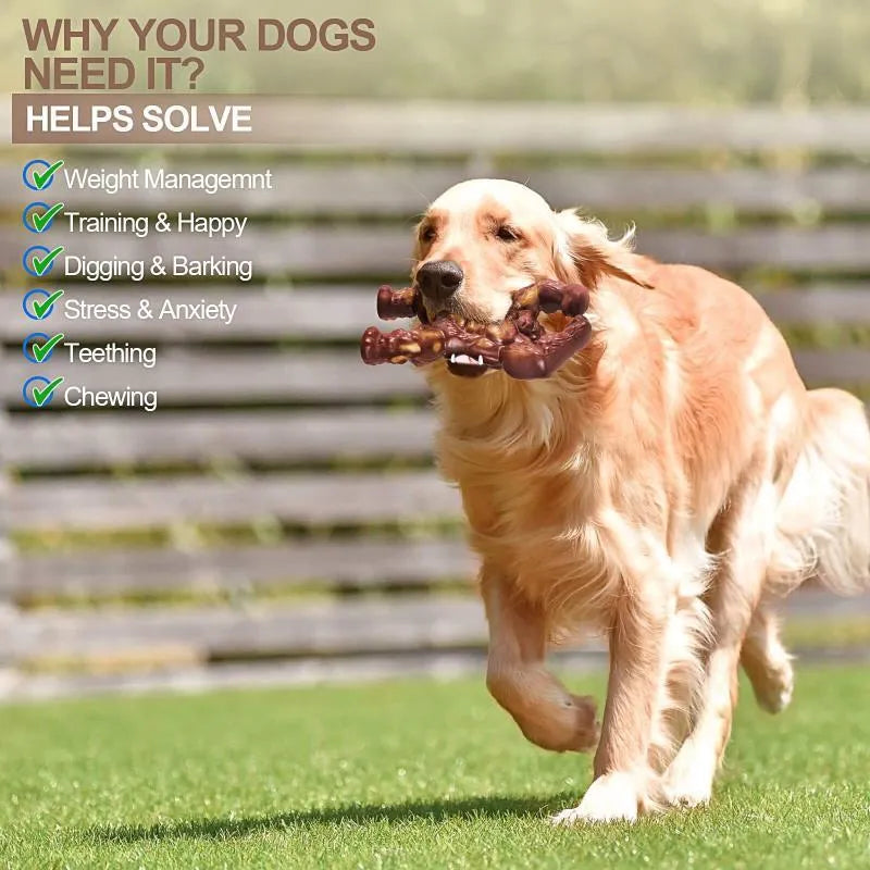 Scarlet red nylon dog chew toy with beef flavour for molar nibbling, measuring 10.7 x 17.2 x 5 cm