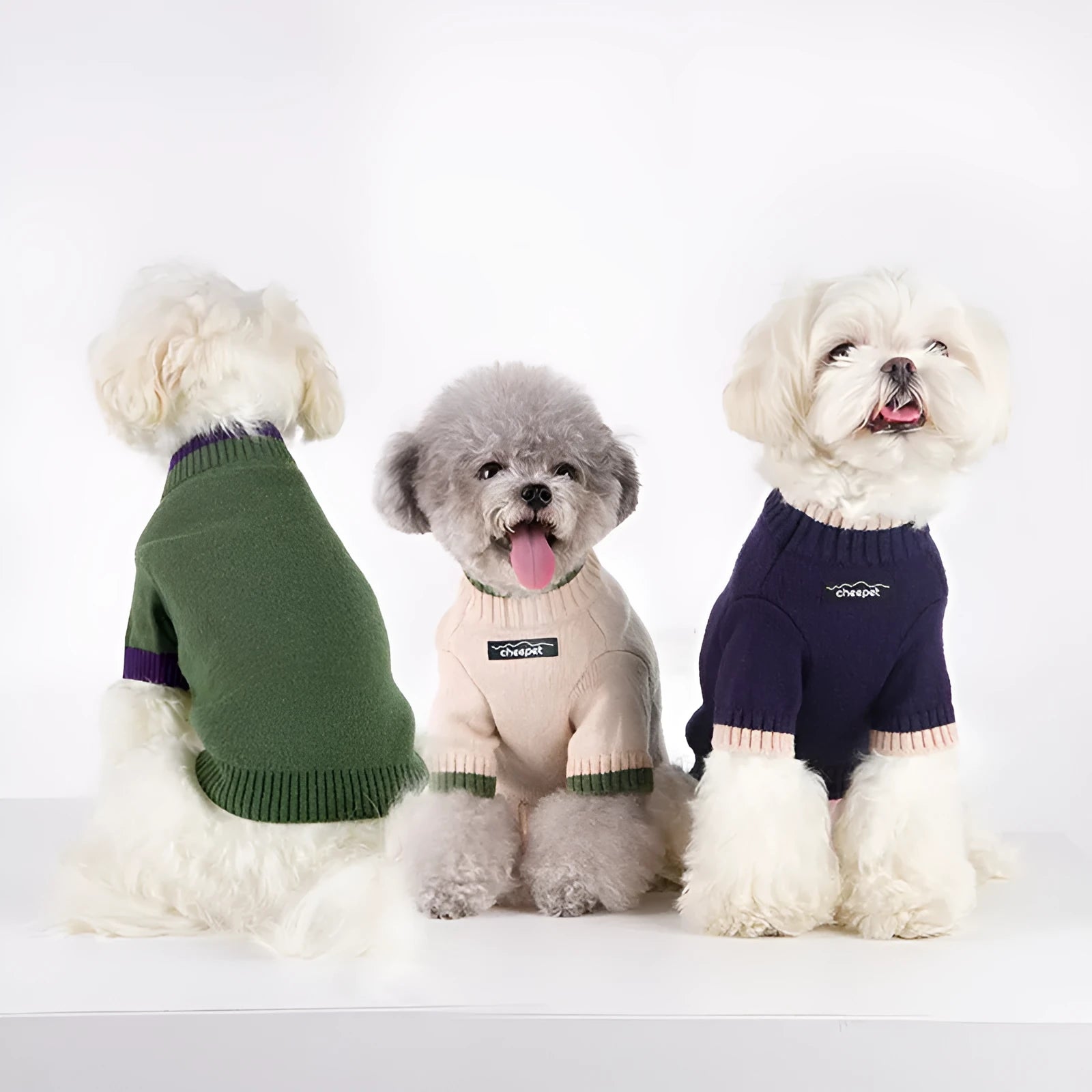 British style wool pet sweater with contrasting colours on two legs, shown in Crown Blue colour option