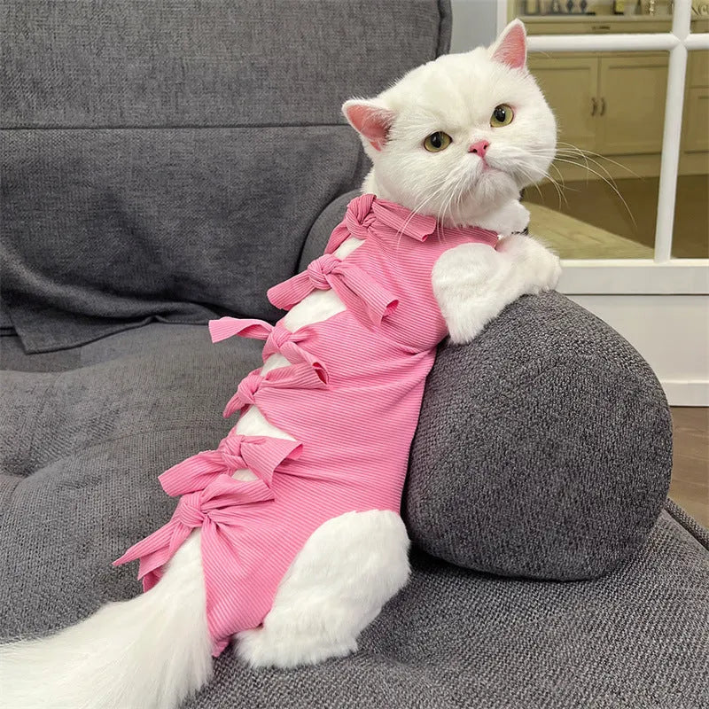 Lace-up polyester cat recovery suit in blue colour, shown on a cat model.