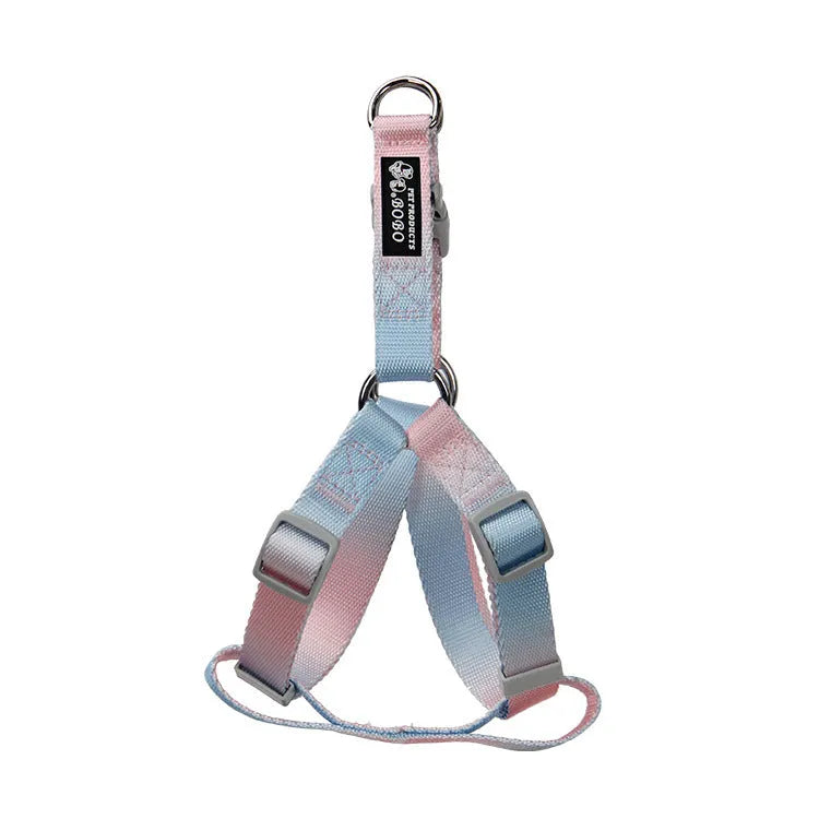 Gradient colour nylon dog leash set with matching collar in pink-blue combination