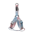 Gradient colour nylon dog leash set with matching collar in pink-blue combination