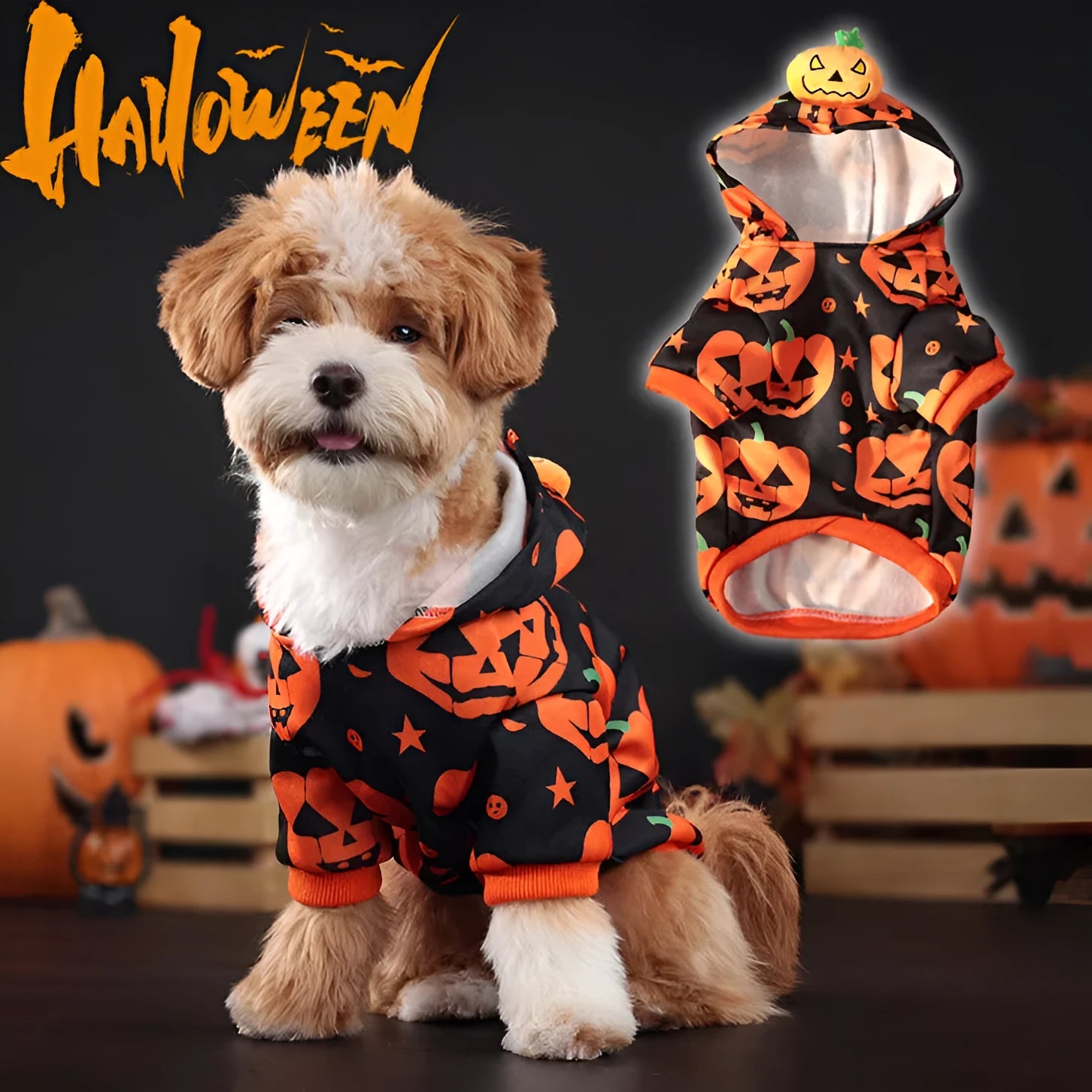 Wansheng orange pumpkin pet sweater for dogs and cats in polyester fabric