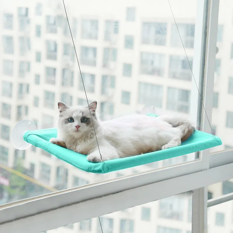 Grey cat lying on an Oxford cloth pet litter sucker hanging window hammock with suction cups attached to glass