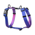 Gradient colour pet harness with chest and back straps in adjustable S, M, L sizes