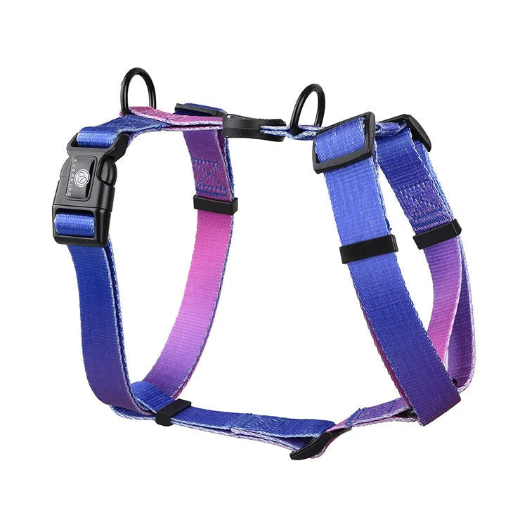 Gradient colour pet harness with chest and back straps in adjustable S, M, L sizes