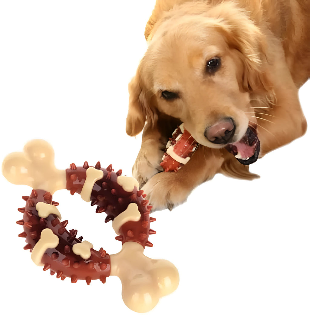 Natural rubber bone-shaped dog dental chew toy for teeth cleaning and anxiety relief