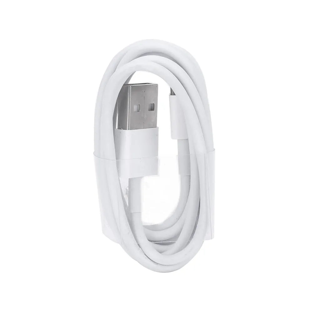 5V 2A USB travel charger compatible with iPhone and iPad models with charging cable