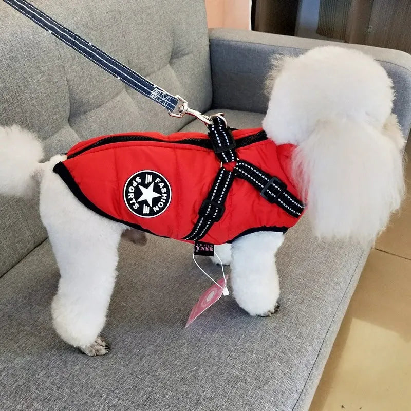 Red waterproof dog coat with an integrated harness on a dog, for winter weather.