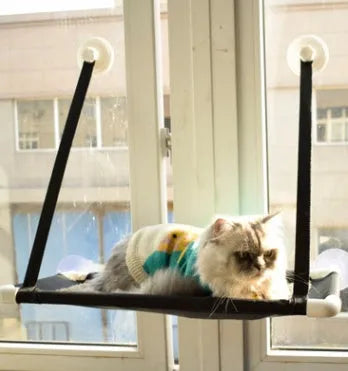Cat hammock on window sill with suction cups, double layer coral velvet design