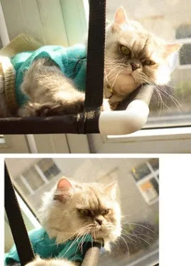 Cat hammock on window sill with suction cups, double layer coral velvet design