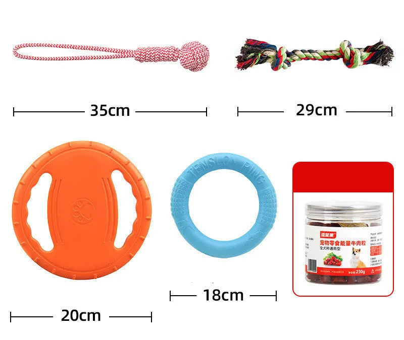 Dog training set with plastic frisbee and bite ring in orange and green colours on grass