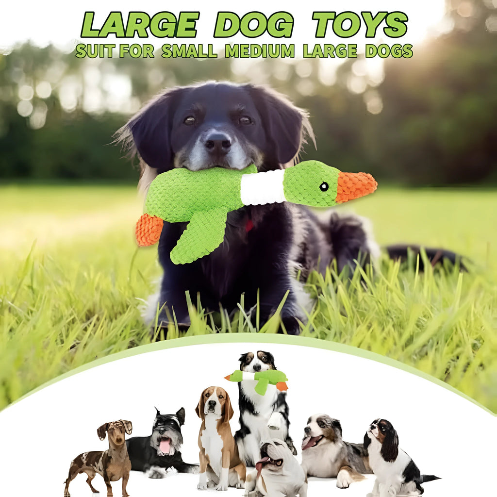Blue green or grey durable plush duck dog toy with squeaker for chewing and play.