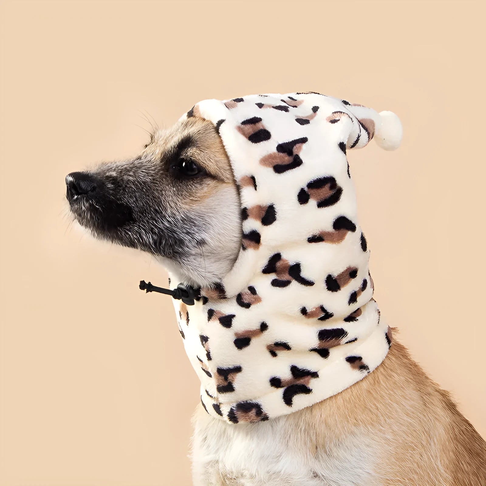 Bear design pet headgear with rabbit ears for dogs and cats in leopard print colour