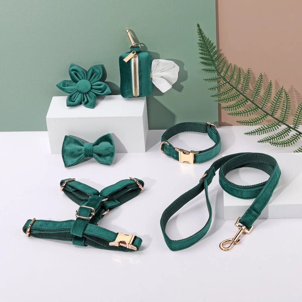 Classic velvet pet collar and traction rope harness set with decorative bow tie and flower for dogs and cats