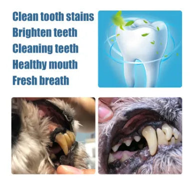 Pet teeth whitening pen with dual-ended design and dental brush applicators for dog and cat tartar removal