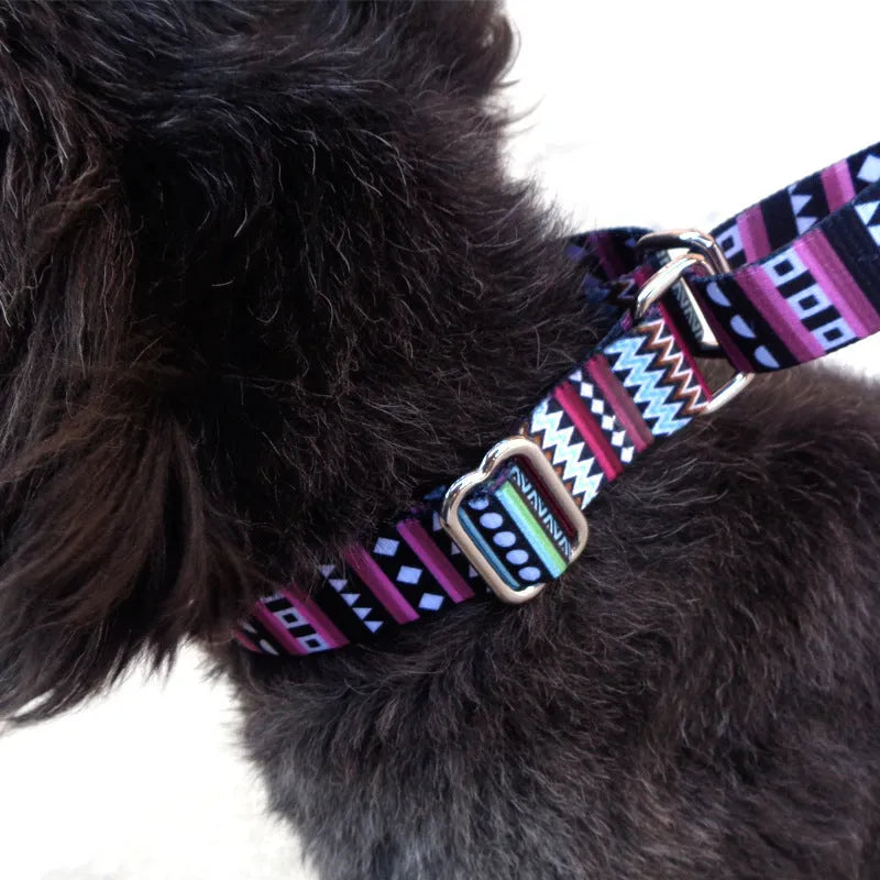 Colour stripe digital printing pet rope collar with purple arrow gradient pattern on polyester material