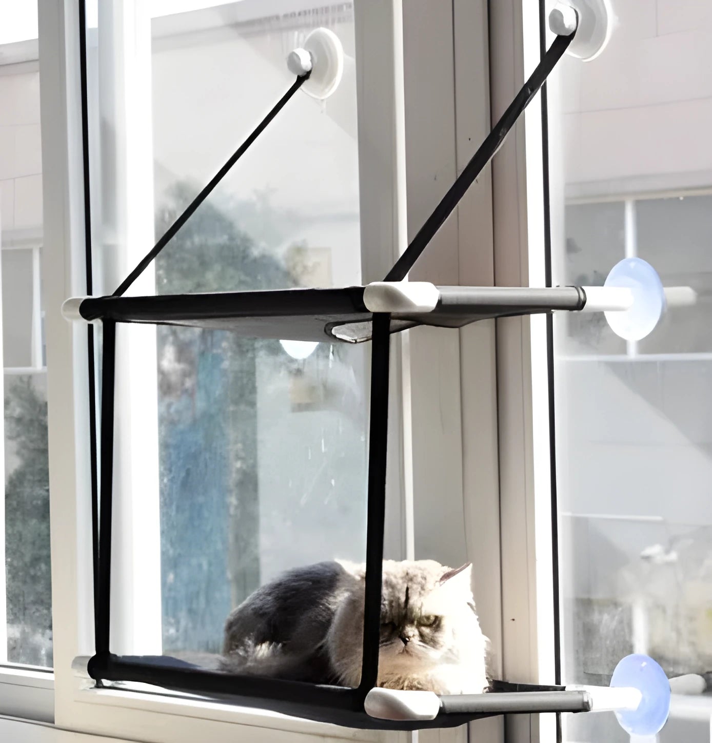 Cat hammock on window sill with suction cups, double layer coral velvet design