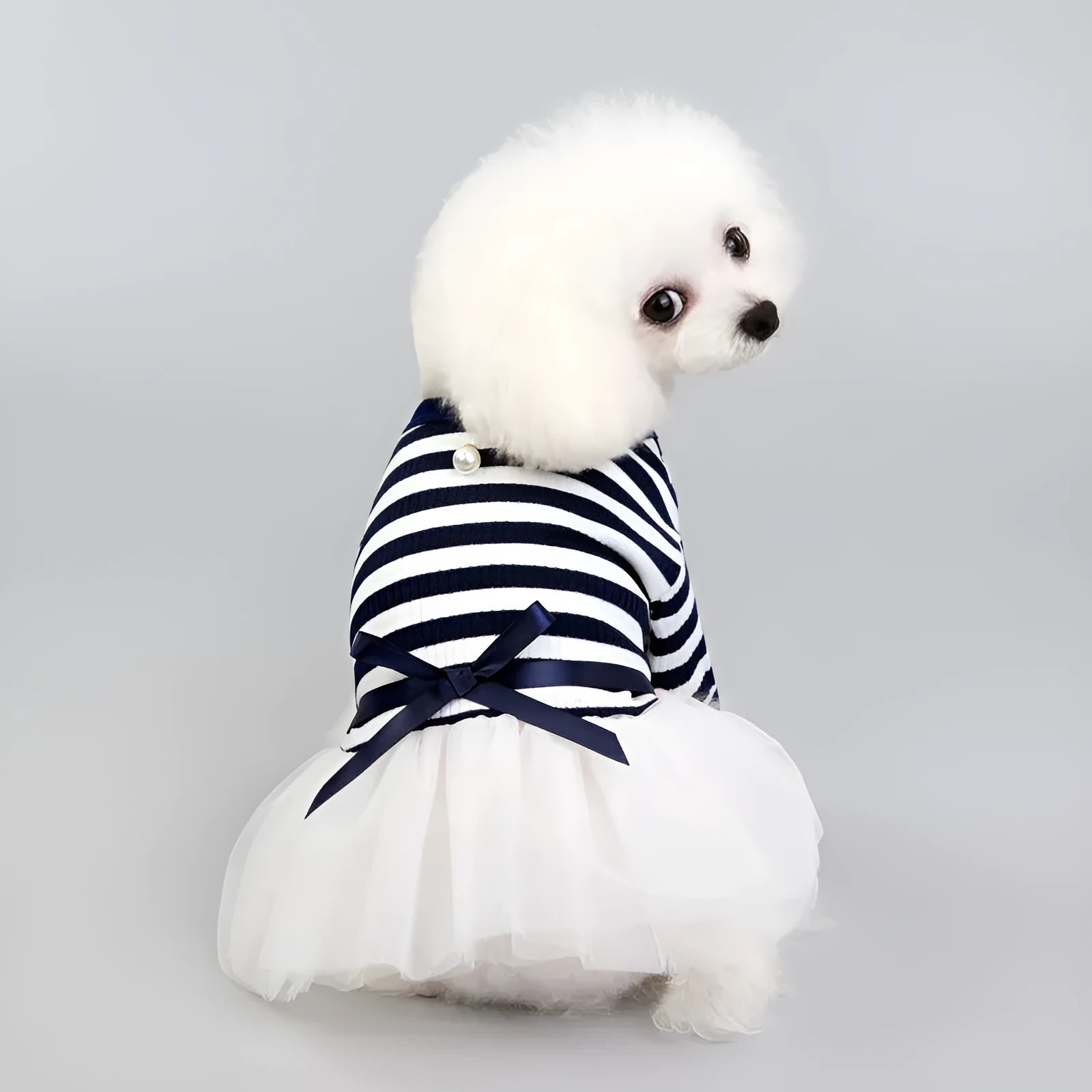 Bears Teddy cotton pet skirt for small female dogs in coffee colour