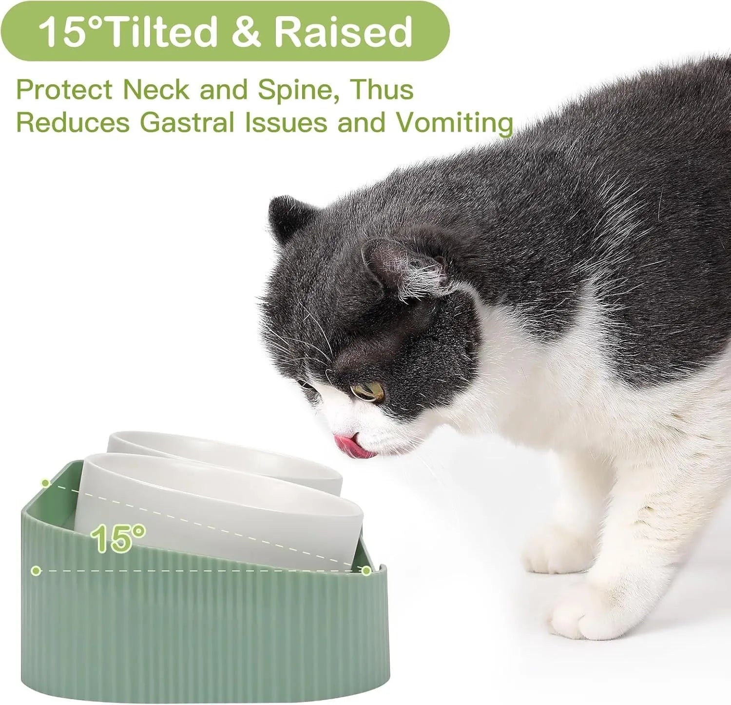 Ceramic elevated cat bowl set with tilted design and anti-spill rim in three colour options
