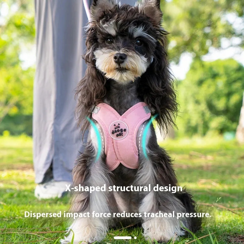 Blue adjustable dog harness vest connected to a hand-holding leash rope on a white background.
