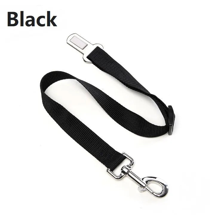 Escape proof reflective cat vest harness with car seat belt adapter for kittens