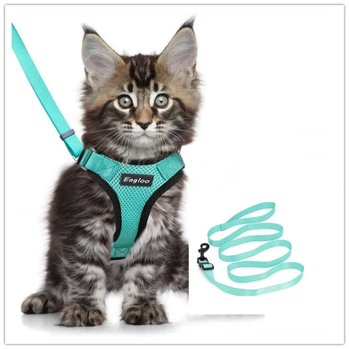 Escape proof reflective cat vest harness with car seat belt adapter for kittens